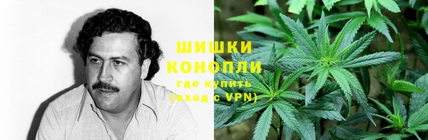 гидропоника Богданович