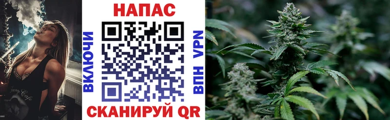 Шишки марихуана Bruce Banner  Купить  Елизово 